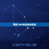 属蛇1965年出生的命运，1965年属蛇的什么命？