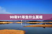 90年91年生什么属相，我属马1990年，老公1991属羊请问几月份生