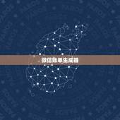 微信账单生成器，微信扫码付款支付凭证生成器哪里有