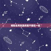 婚配生肖龙跟虎能不能在一起，属龙的能和属虎的在一起结婚吗？