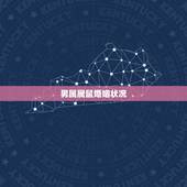 男属属鼠婚姻状况，男属属鼠做夫妻怎么样