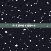 农历辛巳年是哪一年，戊寅年是哪一年