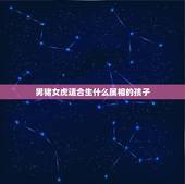 男猪女虎适合生什么属相的孩子，属虎和属猪夫妻生属什么孩子