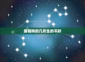属相狗的几月生的不好，属狗的几月出生最好 属狗人出生月的命运如何
