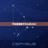 今年属相属于什么年2021，属牛的和什么属相最相配 12属相婚配表