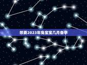 想要2023年兔宝宝几月备孕，孕前检查项目一览表
