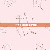 十二生肖鼠男和羊女婚配，男鼠女羊婚配好吗？
