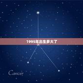 1995年出生多大了，1995年出生的人虚岁今年多大了？
