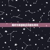 龙虎牛属相能合伙做生意吗，属龙跟属牛一起做生意有没有什么冲突