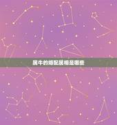 属牛的婚配属相是哪些，93年属鸡男婚配表