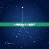 文财神是什么样的图片，身披彩衣的文财神什么样子？