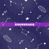 属兔的婚姻更佳配偶，属兔男人会娶什么老婆