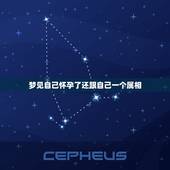 梦见自己怀孕了还跟自己一个属相，连续两天都梦见自己怀孕了是什么意思？