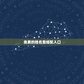 免费的姓名查婚配入口，免费姓名配对测试