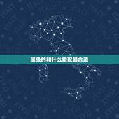属兔的和什么婚配最合适，属兔配什么生肖更好