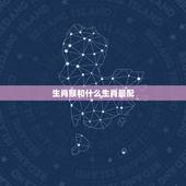 生肖猴和什么生肖最配，1992年是苦命猴还是富猴