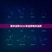 属羊运势2022年运势每月运势，属龙人2022年运势运程每月运程
