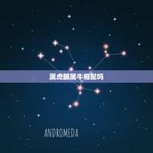 属虎跟属牛相配吗，属牛的跟属虎的配吗