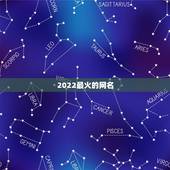 2022最火的网名，2022年更流行的网名