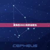 属兔在2022年的运程女，2022 年属兔人的全年运势