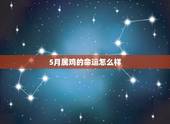 5月属鸡的命运怎么样，1969年属鸡的人5月二十生日午时的命运