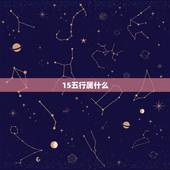 15五行属什么，04年1月15金木水火土属什么？