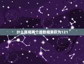 什么属相两个质数相乘积为121，两个质数相乘的积一定是什么？