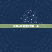 属羊人命中注定的另一半，1991年属羊的最佳配偶