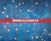 属狗的在2022年是多少岁，70年属狗51岁有血光之灾