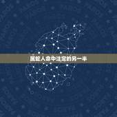 属蛇人命中注定的另一半，属蛇注定的缘分是谁