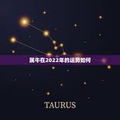 属牛在2022年的运势如何，牛年属牛的运势怎么样2021