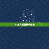 12生肖属相猴子图象，十二生肖，猴子为什么排第九位