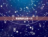 黄缘龟多少钱一只，黄缘龟多少价格一个
