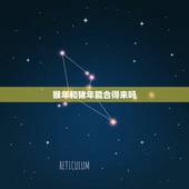 猴年和猪年能合得来吗，属猴的和属猪的真不合吗？