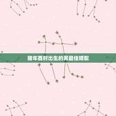 猪年酉时出生的男最佳婚配，猪年农历五月初十酉时出生的女人与鼠年农历二月