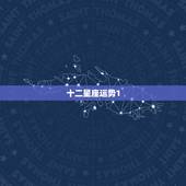 十二星座运势1，十二星座运势？