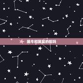 属牛和属鼠的配吗，女鼠大一和小男牛