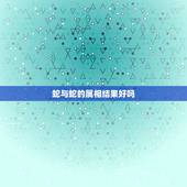 蛇与蛇的属相结果好吗，属蛇的与属蛇的好不好