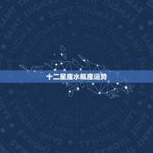 十二星座水瓶座运势，水瓶座2022 年每月运势完整版