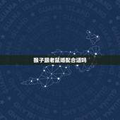 猴子跟老鼠婚配合适吗，属猴和属老鼠相配么