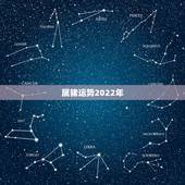 属猪运势2022年，2022年运势最好的生肖