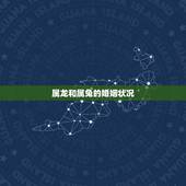 属龙和属兔的婚姻状况，龙和兔在一起对谁不利