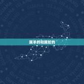 属羊的和属蛇的，男属羊女属蛇生什么宝宝好