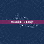 1985年属牛什么生肖配对，85年属牛的女和什么属相配