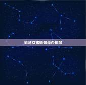 男马女猪婚姻是否相配，请问，男属马女属猪婚姻相配？