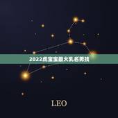 2022虎宝宝最火乳名男孩，虎宝宝乳名大全2022洋气