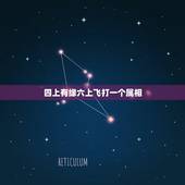 四上有缘六上飞打一个属相，四上有缘六七飞，打一个数字