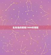 生肖兔的婚姻1999年婚配，1999年属兔婚配