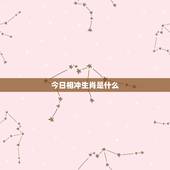今日相冲生肖是什么，今天是什么生肖相冲