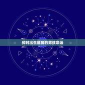 卯时出生属猪的男孩命运，卯时出生的猪宝宝